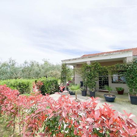 Olive Apartment Подгорица Экстерьер фото