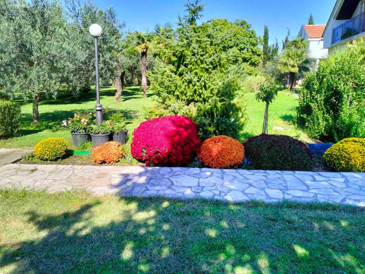 Olive Apartment Подгорица Экстерьер фото