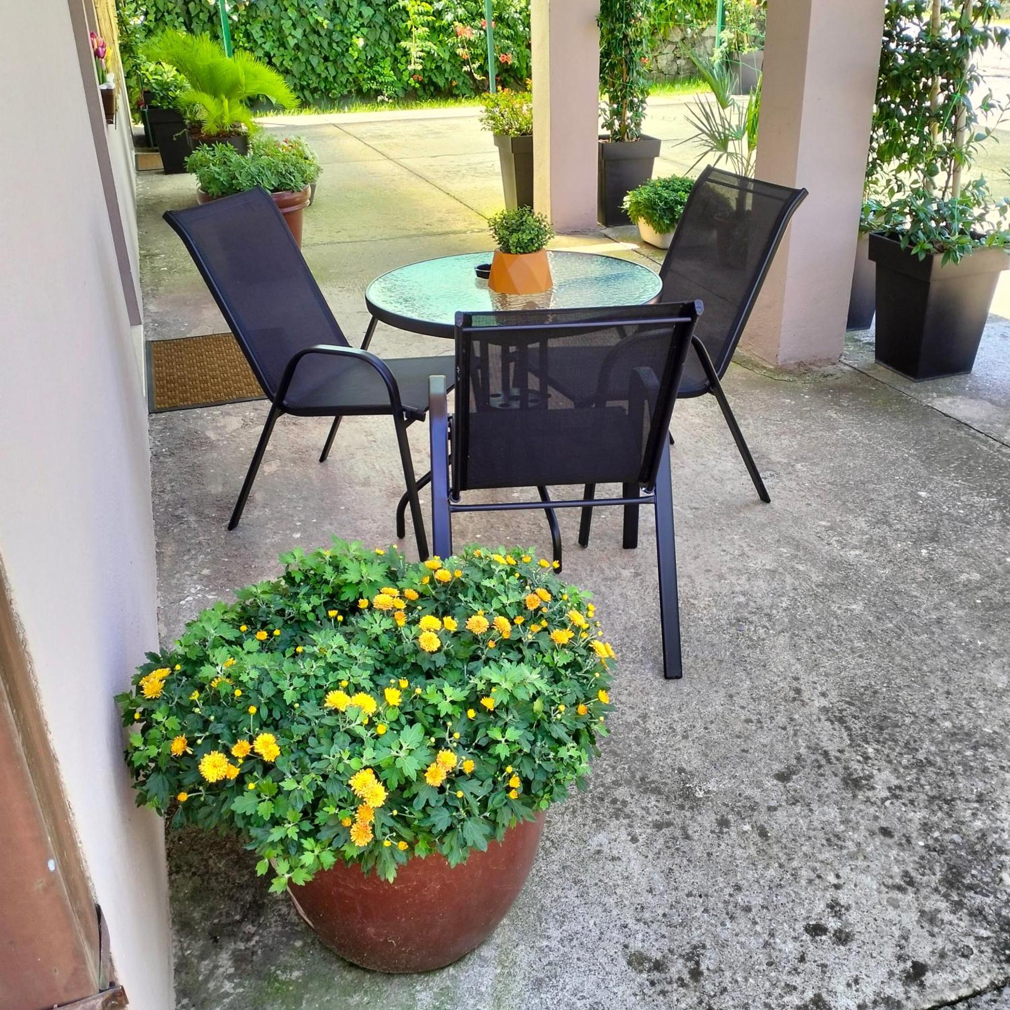 Olive Apartment Подгорица Экстерьер фото