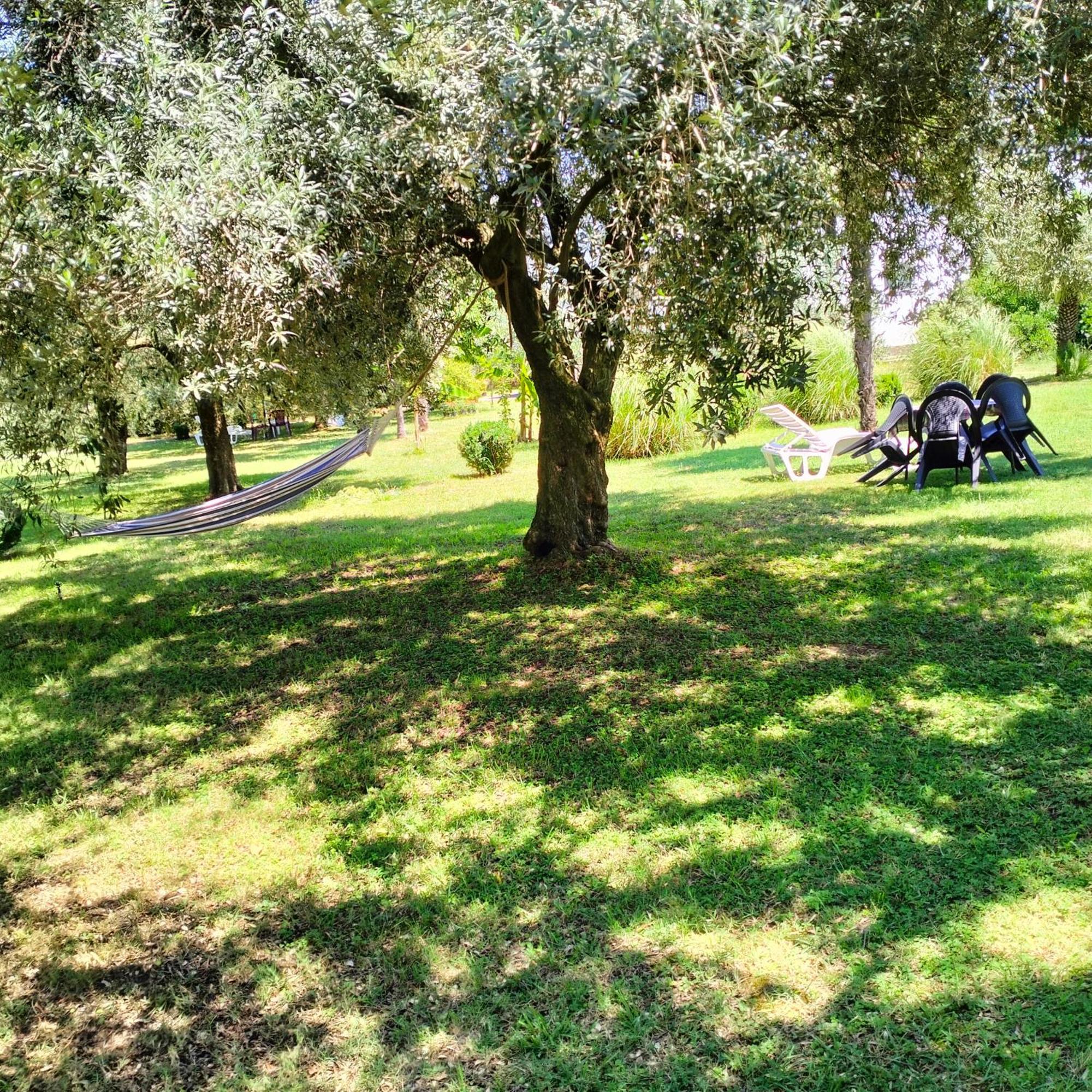 Olive Apartment Подгорица Экстерьер фото